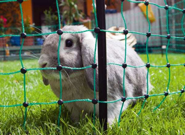 Electric Rabbit Net | Dunmor Agri